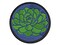 Echeveria Elegans Succulent Plant Mexican Snow Ball Multi-Color Embroidered Iron-On or Hook & Loop Patch Applique